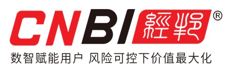 ANHUI CNBI